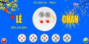 Cược chẵn lẻ sóc đĩa online đặc điểm